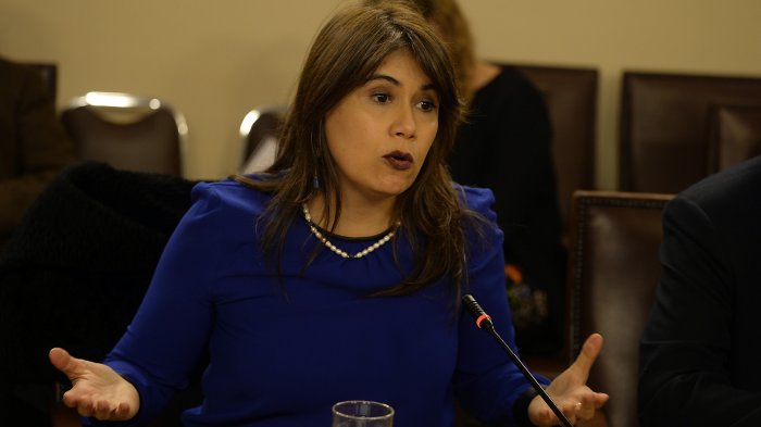 Formalizarán a exministra Javiera Blanco La acusan por malversación de