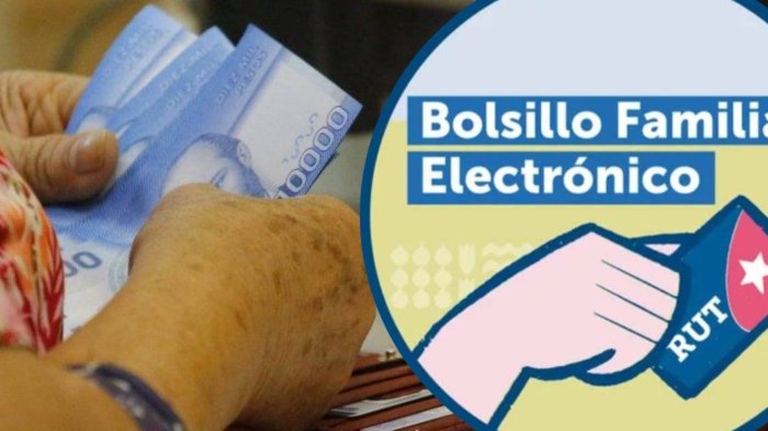 Bolsillo Familiar Electrónico Chilevisión