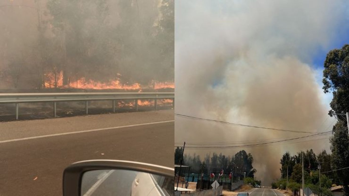 Alerta roja en Quilpué por incendio forestal Delegación reporta