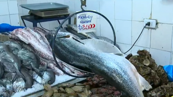 Ofertas en el Terminal Pesquero: Así están los precios de pescados y  mariscos para Semana Santa - Chilevisión